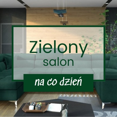 Zielone meble do salonu